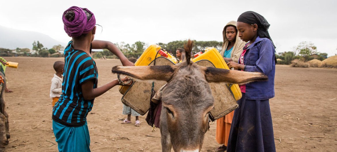 Des filles à Lode Lemofo kebele, une localité située dans la vallée du grand Rift en Ethiopie, placent leurs jerrycans d'eau sur un âne, après les avoir remplis à un point d'eau nouvellement construit. Photo : UNICEF Ethiopie / Zerihun Sewunet