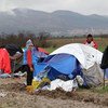 Сирийские беженцы на границе с бывшей югославской республикой Македония и Сербией. Они из группы, которой позволили пересечь границу Греции. Фото ЮНИСЕФ