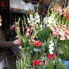 Afghans celebrate Nowruz – New Year – with special meals, decorations and gifts and it's a time for renewal and for promoting peace and solidarity.