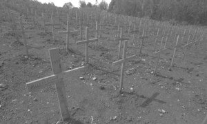 卢旺达首都基加利尼安扎村一处墓地上的木制十字架。1994年卢旺达大屠杀期间，该村有一万多人被烧死。联合国大会从2003年起将每年的4月7日定为“反思卢旺达大屠杀国际日”。