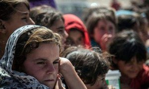 Les civils à Falloujah, en Iraq, ont besoin d'assistance. Photo OCHA Iraq