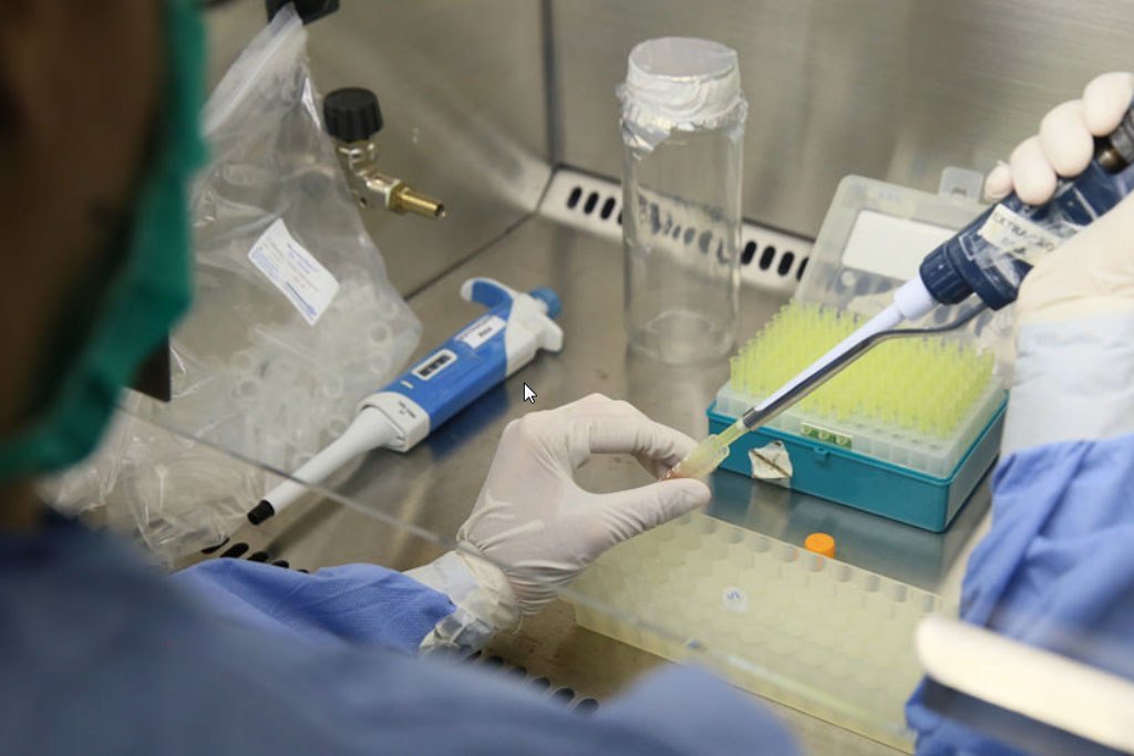 巴西实验室人员正在对怀孕妇女的血样进行寨卡病毒检测。世界卫生组织/泛美卫生组织图片