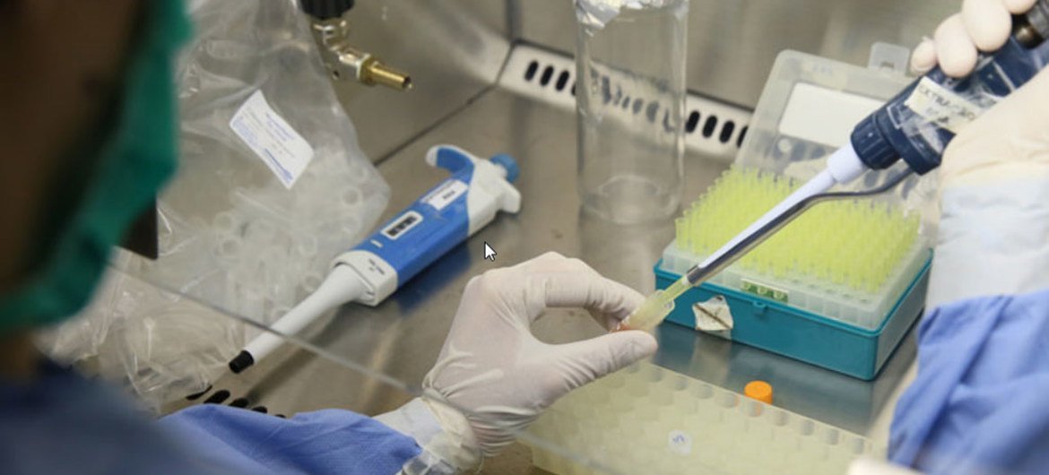巴西实验室人员正在对怀孕妇女的血样进行寨卡病毒检测。世界卫生组织/泛美卫生组织图片