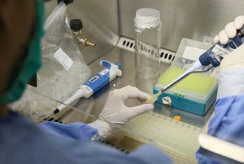 The Oswaldo Cruz Foundation Magalhães Research Center in Pernambuco, Brazil, performs tests to diagnose the presence of Zika virus in blood samples of pregnant women with rash and itching.
