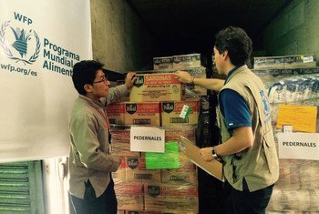 Loading trucks with WFP food for the quake-stricken town of Pedernales in Ecuador.