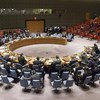A wide view of the Security Council meeting on the situation in Somalia. UN Photo/Loey Felipe