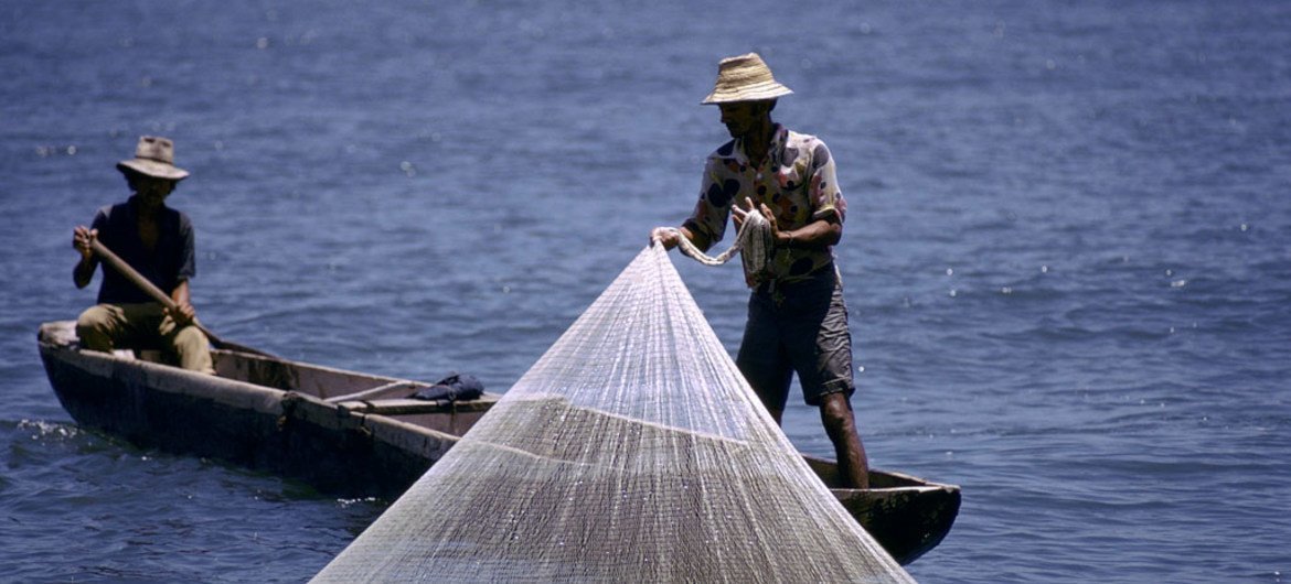 哥伦比亚渔民在捕鱼。