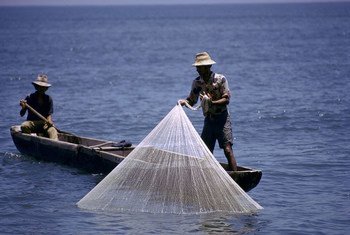 哥伦比亚渔民在捕鱼。