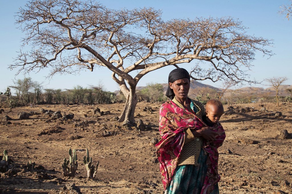 Ukame unaosababishwa na El Niño huko Ziway Dugda, eneo la Oromia nchini Ethiopia, unaathiri kila familia na hawana chakula cha kutosha nyumbani cha kujilisha.