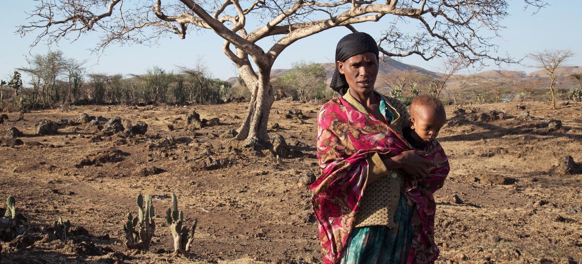 La sécheresse due à El  Niño frappe la région d'Oromia, en Ethiopie, où les familles n'ont pas assez pour se nourrir. Photo OCHA/Charlotte Cans