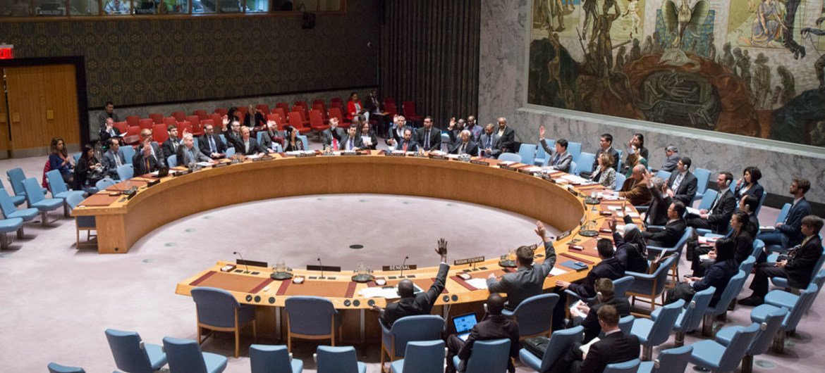 安理会就建设和平框架问题一致通过决议。联合国图片/Manuel Elias