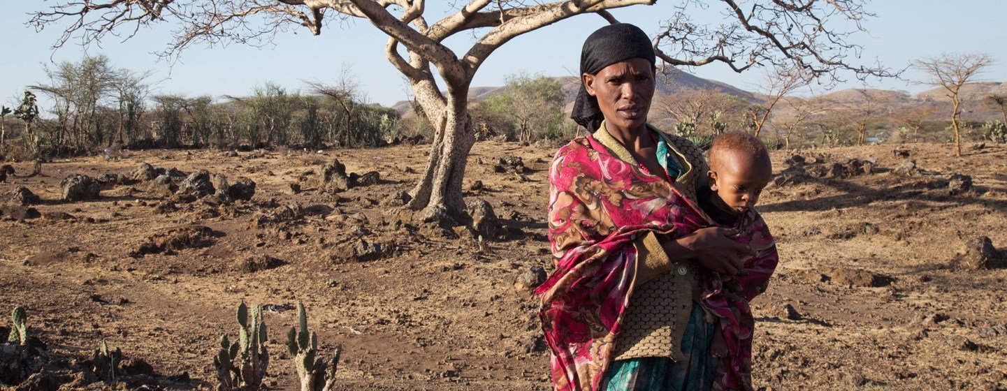 Une grave sécheresse dans la région Oromia en Ethiopie a provoqué une crise alimentaire (photo d'archives). 