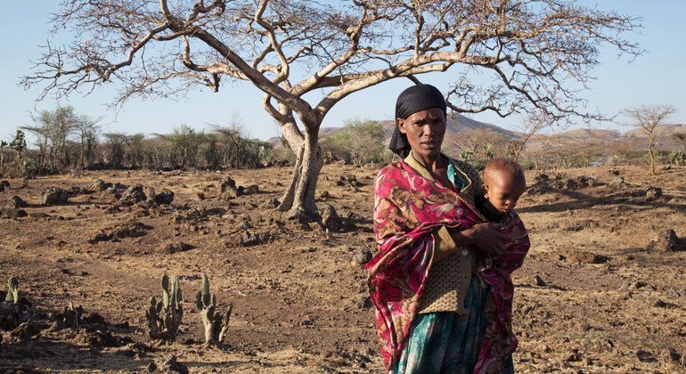 En la region etíope de Oromia, las familias padecen hambre a raíz de una severa sequía. 