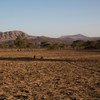 厄尔尼诺现象在东非的埃塞俄比亚造成了严重的干旱。人道协调厅图片/Charlotte Cans