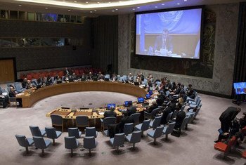 Wide view of the Security Council meeting on the situation concerning Iraq.