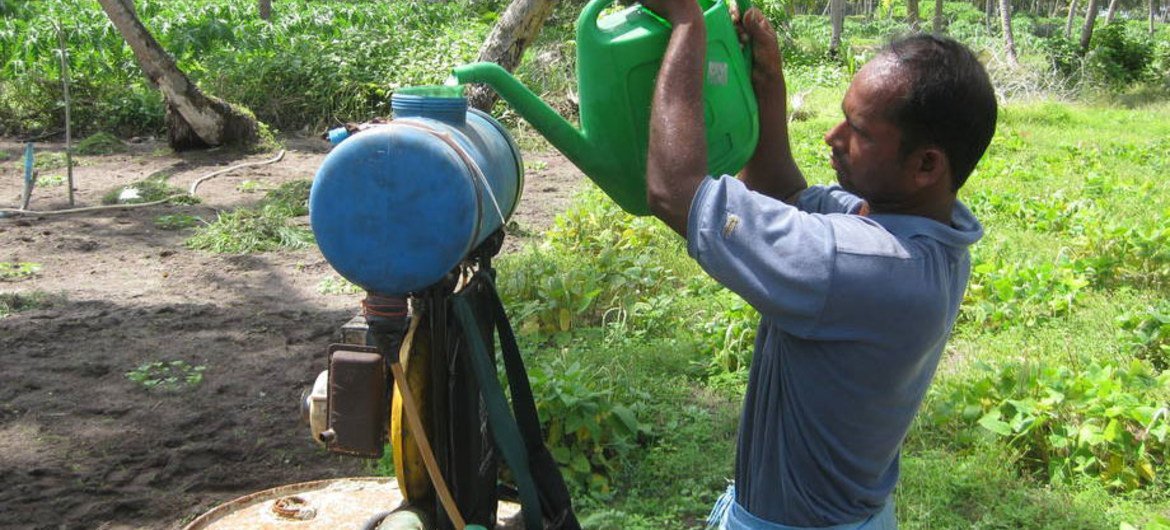 Tropical smallholder farmers do not always use protective gear while handling pesticides.