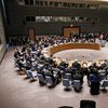Совет Безопасности принял резолюцию о предупреждении поставок оружия террористам Фото ООН/Эван Шнайдер