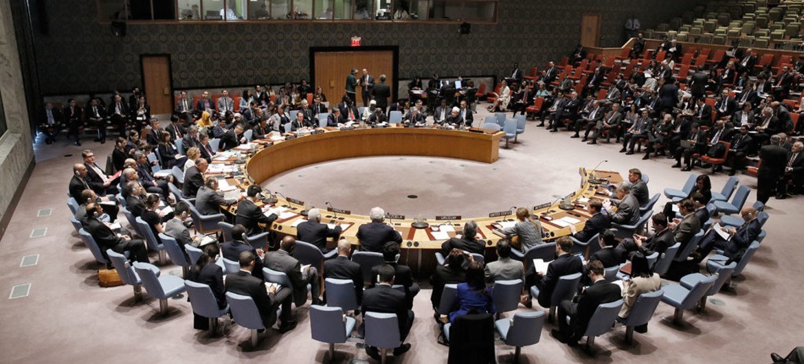 El Consejo de Seguridad de la ONU. Foto de archivo: ONU/Evan Schneide