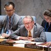 Jan Eliasson en el Consejo de Seguridad. Foto de archivo: ONU/Rick Bajornas