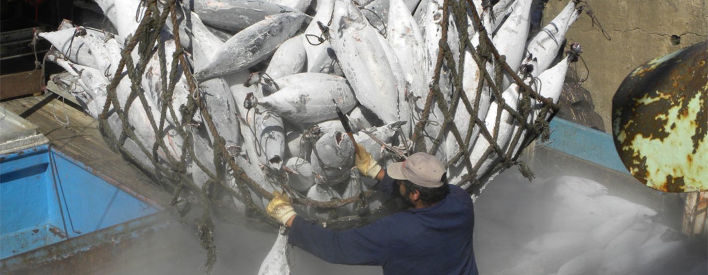 media:entermedia_image:2a9b33c8-b48f-400f-a73c-78b480a204f9