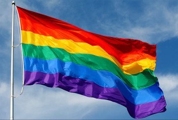 象征同性恋、双性恋、跨性别者和变性者群体的旗帜。