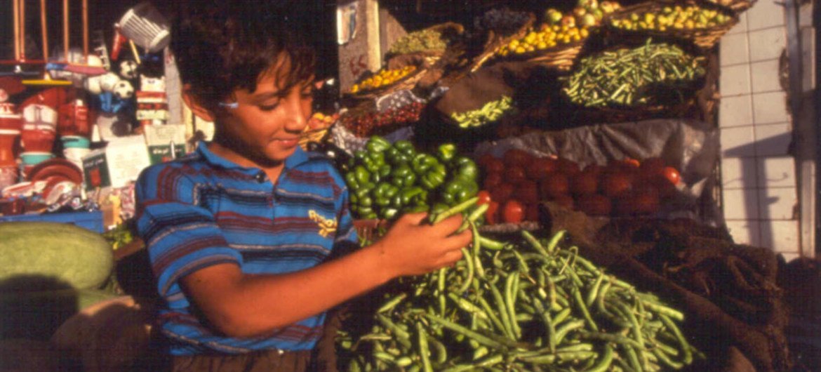 A boy attends to vegetables in a market in Iraq.