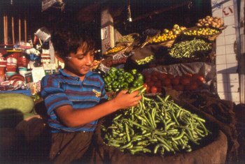 Un garçon à un étal de légumes sur un marché en Iraq. Photo UNESCO/Giacomo Pirozzi (archives)