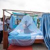 La OMS reportó grandes avances en la lucha contra la malaria en África subsahariana. Foto: UNICEF/Adenike Ademuyiwa