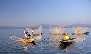 Fishing boats, Mexico.