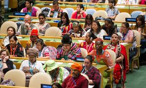 Des participants de la 15ème session du Forum permanent de l'ONU sur les questions autochtones en mai 2016. Photo ONU/Rick Bajornas