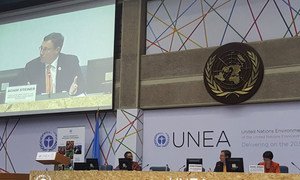 UNEP Executive Director Achim Steiner (on monitor) addresses the second United Nations Environment Assembly.