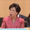 Director-General of the World Health Organization Margaret Chan addresses the 69th World Health Assembly in Geneva, Switzerland.