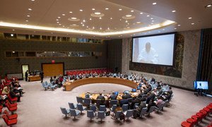 Plan large sur la salle du Conseil de sécurité alors que Mohammed Ibn Chambas (sur l'écran), représentant spécial et chef du Bureau des Nations Unies pour l’Afrique de l’ouest et le Sahel (UNOWAS), s'exprime par visioconférence.(archive) Photo ONU/Loey Felipe