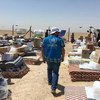 موظفو مفوضية اللاجئين  في العراق يقومون بتوزيع المساعدات على الأسر النازحة حديثا من الفلوجة. المصدر: مفوضية اللاجئين / قصي آلأزروني