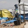 希腊伊多梅尼的难民遗留下的帐篷  难民署图片/Achilleas Zavallis