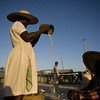 一名妇女在海地的阿蒂博尼特河边Pontsonde市场销售大米。联合国粮农组织图片