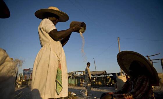 Haïti : l’ONU « horrifiée » par les attaques meurtrières d’un gang dans le département de l’Artibonite