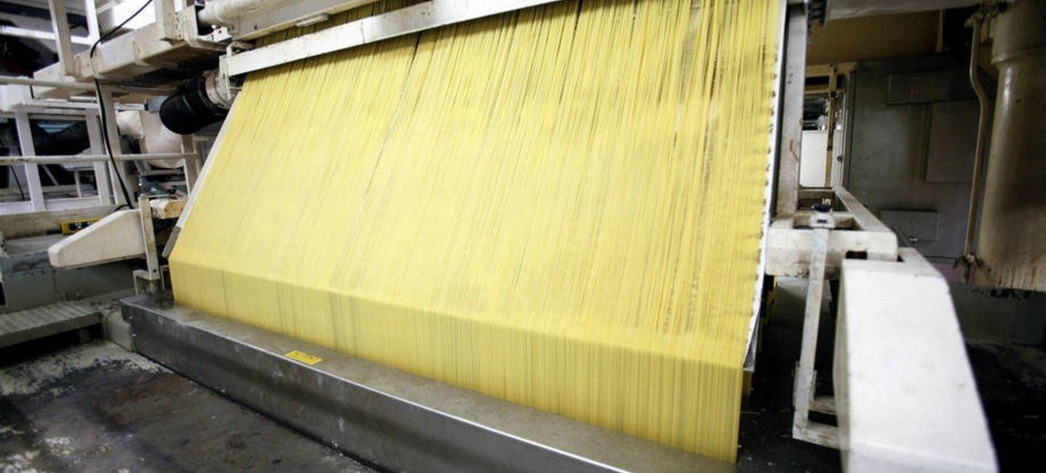 意大利面食工厂正在生产的意大利面条。小麦产量预计将连续第四年超过利用量。