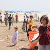 لاجئون إيزيديون، بما في ذلك العديد من الأطفال، في مخيم للاجئين يبعد 40 كيلومترا من الحدود السورية العراقية. المصدر: اليونيسف / رزان رشيدي
