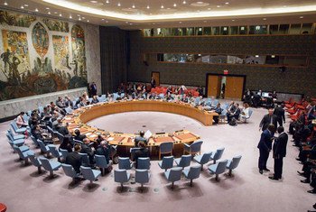 A wide view of the Security Council meeting on the situation in Mali.