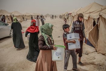 Newly arrived families from Fallujah receive emergency assistance in Al Khalidiya. Humanitarian actors are working around the clock to provide emergency assistance to the newly displaced, including shelter, water, food, basic household items and health care.