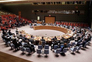 Le Conseil de sécurité lors d'une réunion sur les travaux de la Commission de consolidation de la paix. Photo ONU/Evan Schneider