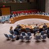 A wide view of the Security Council.