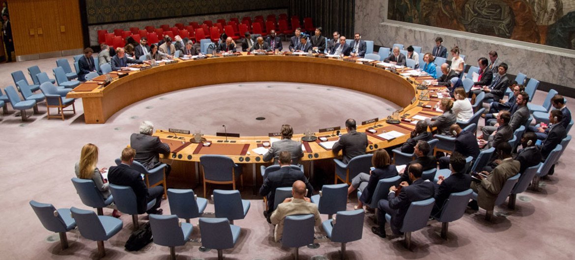 مجلس الأمن. المصدر الأمم المتحدة / جي سي ماكلوين