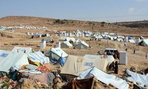Displacement site in Khamer, Amran Governorate, Yemen. About 200 families of the muhamasheen minority, displaced from Sa’ada by fighting, live in the site.