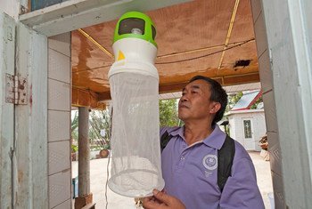 Health worker checking the installation of an anti-mosquito device at the entrance of a house. Such devices may help to trap mosquitoes, flies and insects.