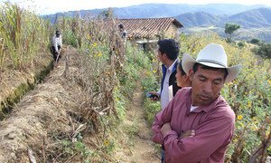 Al menos 2 millones de personas han estado en situación de inseguridad alimentaria en el Corredor Seco de Centroamérica debido a sequías consecutivas en los pasados 4 años. Foto: FAO