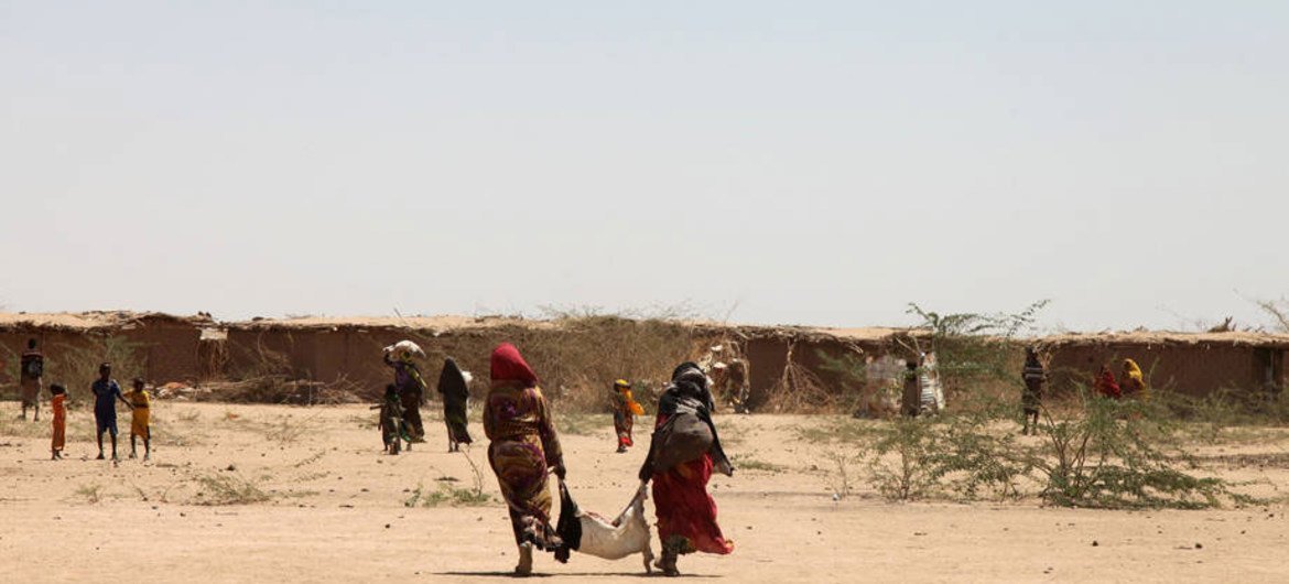 Засухи и деградация земель - одно из последствий изменения климата Фото ФАО/Тамиру Легессе