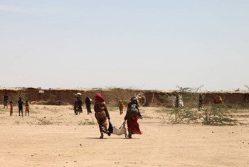Etiopía sufrió una sequía grave a causa de El Niño. Foto: FAO/Tamiru Legesse