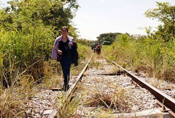 徒步行进在墨西哥的中美洲难民。